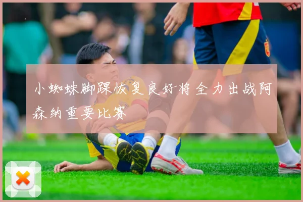 小蜘蛛脚踝恢复良好将全力出战阿森纳重要比赛