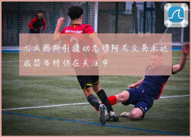 尤文图斯引援动态穆阿尼交易未达成瑟洛特仍在关注中